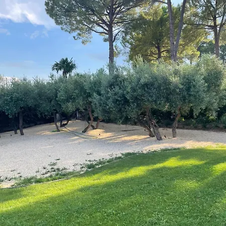 La Bouganvillea 滨海弗兰卡维拉