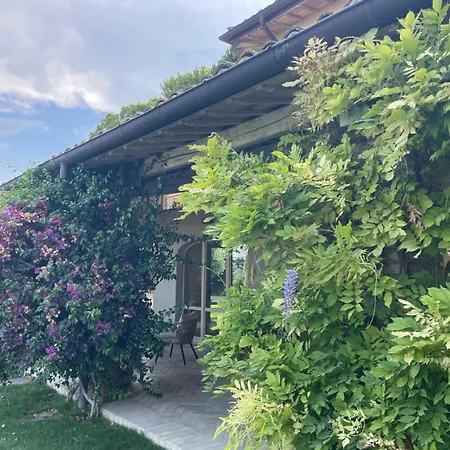 La Bouganvillea *