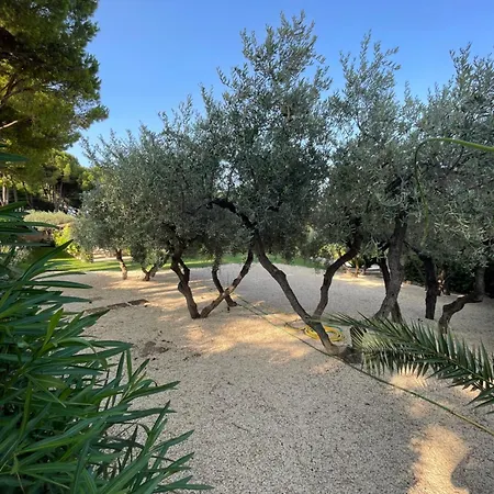 La Bouganvillea 滨海弗兰卡维拉