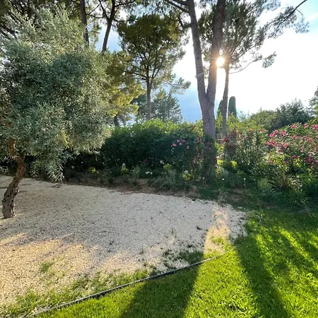 La Bouganvillea *